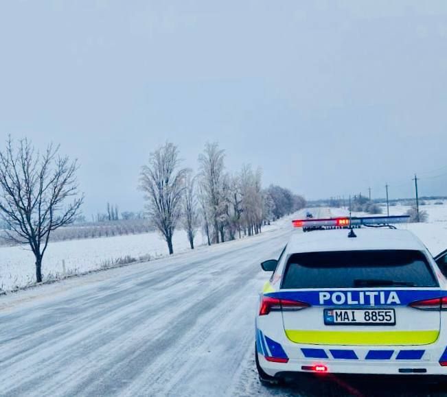 629779825_1345230134314334_7940910081426385685_n