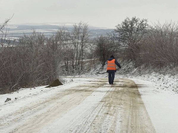 630425964_1325774662927663_2790508026813855703_n