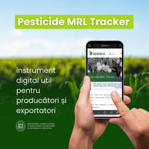 631120843_1354809583342438_6552792948222960492_n