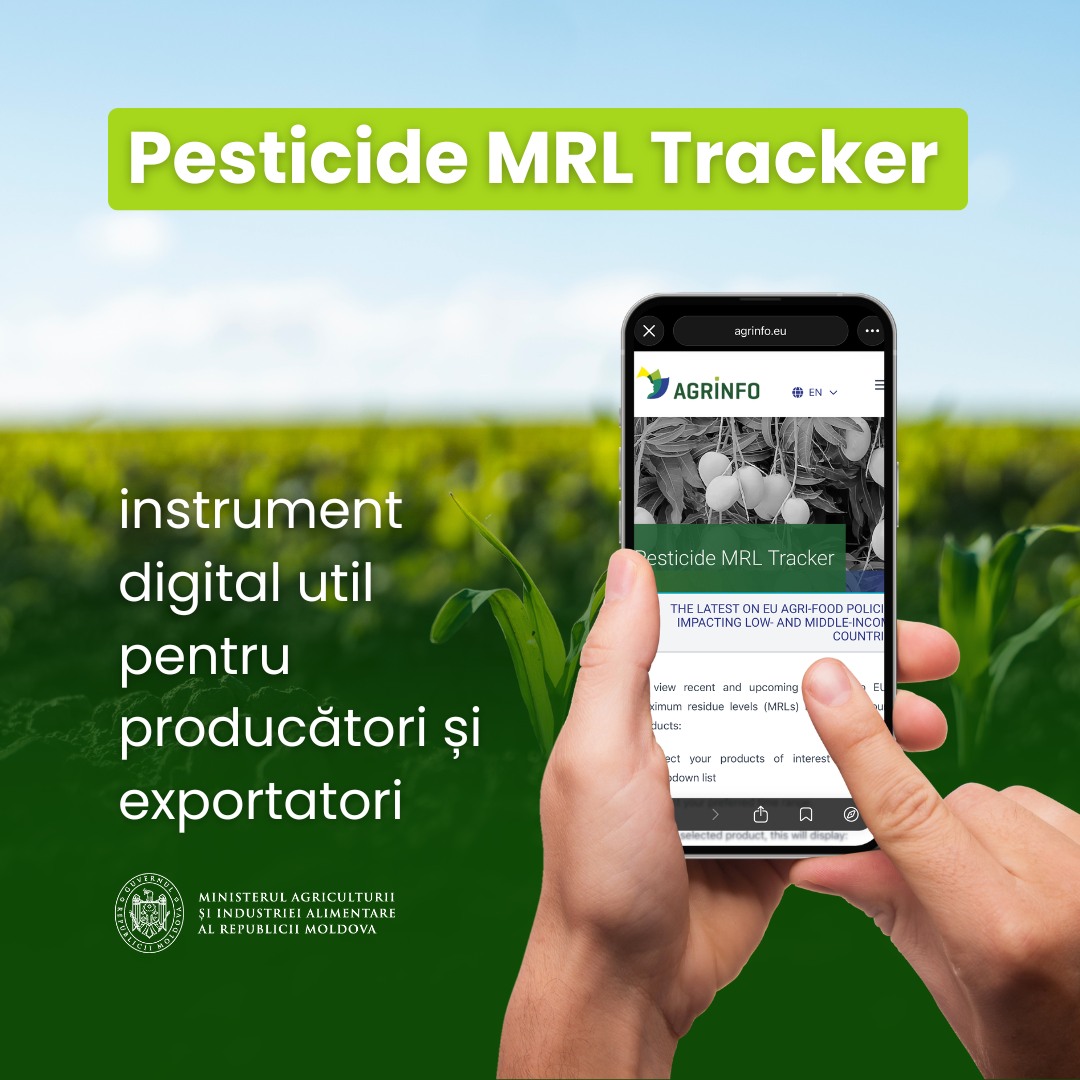 631120843_1354809583342438_6552792948222960492_n