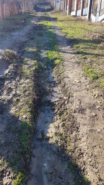 632507339_1225261296423420_7614723184258187570_n