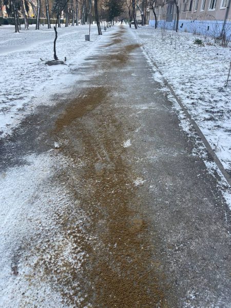 632575759_948895607813242_4488182901862517345_n