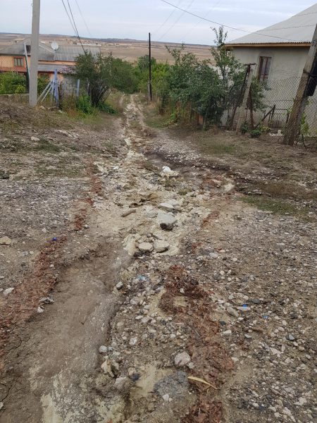 632613158_1225261323090084_7059777284749364409_n