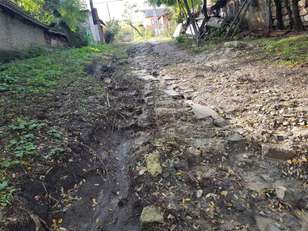 634181200_1225261326423417_9172806686038087240_n