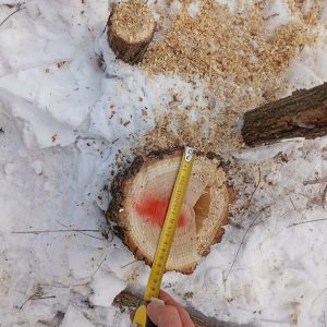 634740940_1206126945025310_4238298910868374681_n