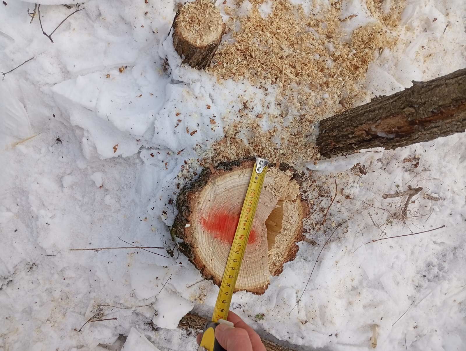 634740940_1206126945025310_4238298910868374681_n