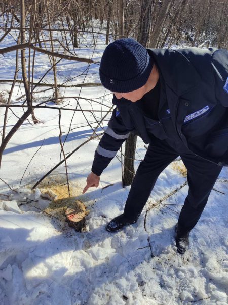 634747362_1206126948358643_4726633724369401857_n