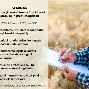 635309310_122202876182564674_7450418962566497300_n