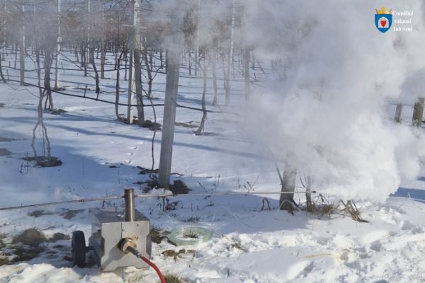 637139798_1767709944551953_1906390259373806159_n