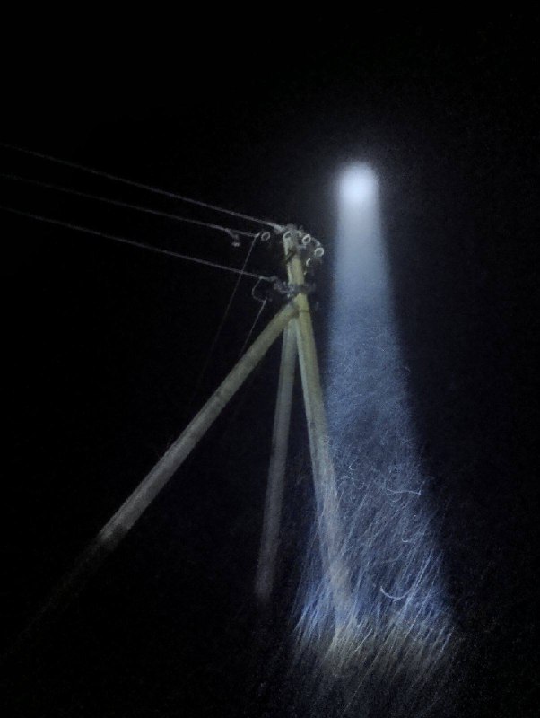 637494112_895555180136794_8007947493687078980_n