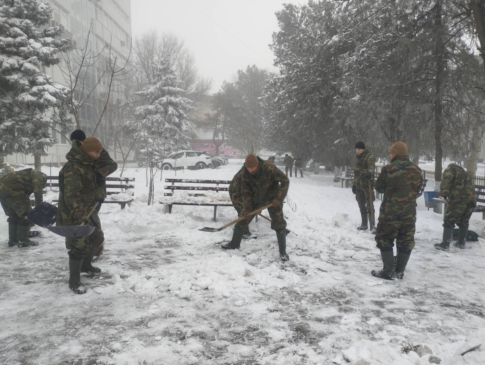 638617455_1216025784040202_70945491283150588_n