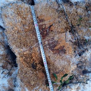 639580657_1212789864359018_5923411679794263289_n