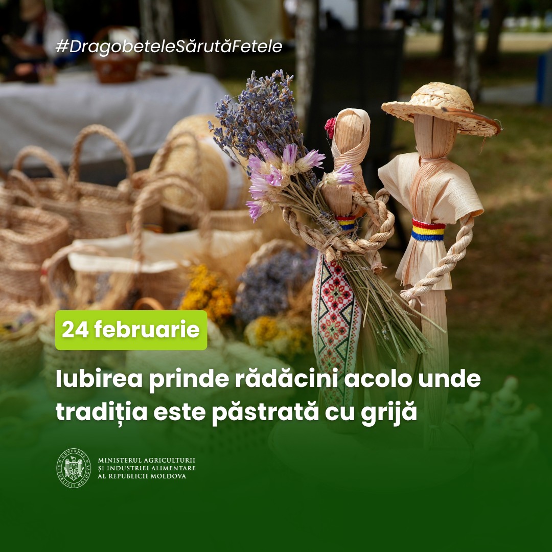 641344669_1366683618821701_4533488384863375087_n