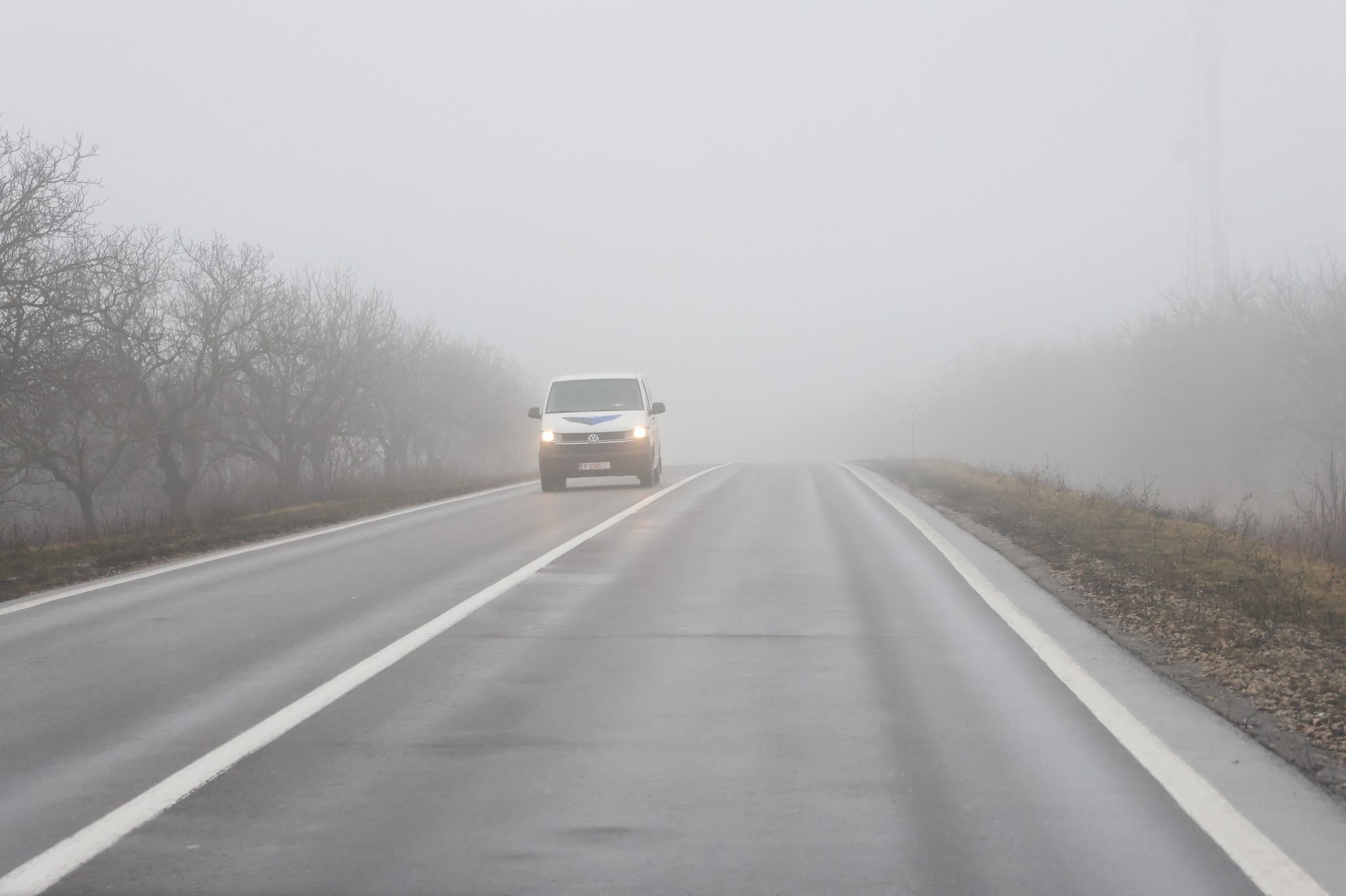 641725791_1241153414870324_9150293806517418496_n