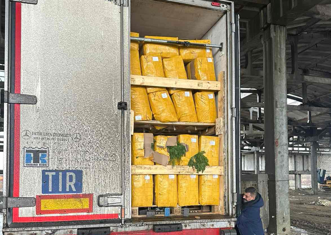 Screenshot 2026-02-02 105625