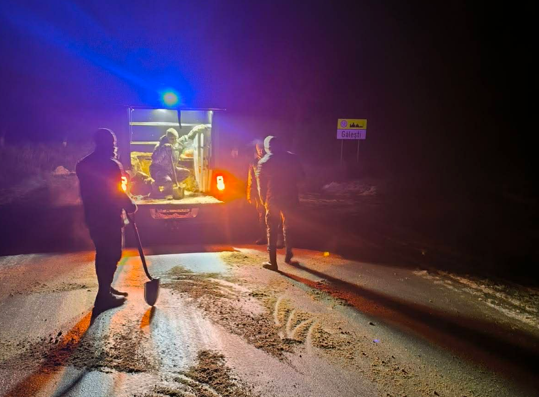 Screenshot 2026-02-05 104805