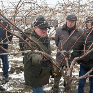 Screenshot 2026-02-05 161113