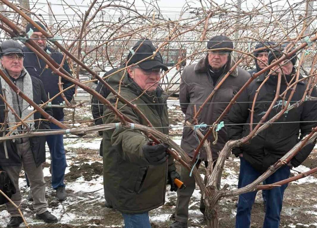 Screenshot 2026-02-05 161113