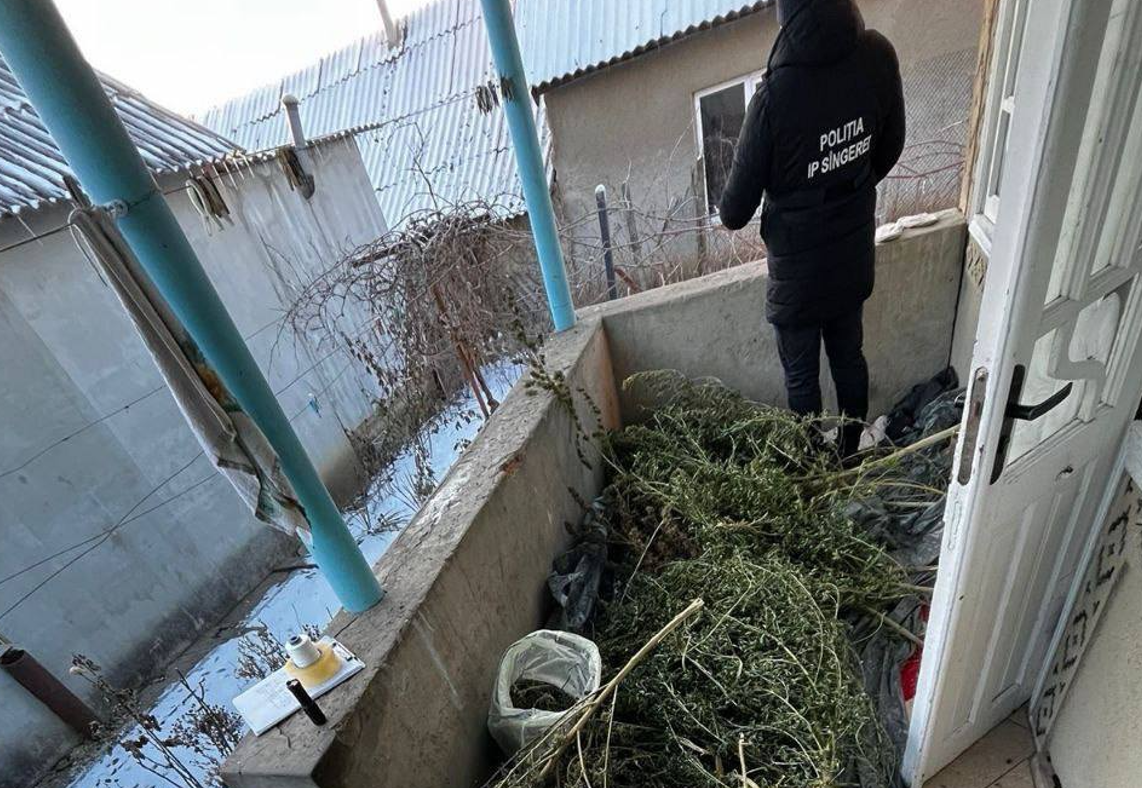 Screenshot 2026-02-10 142601