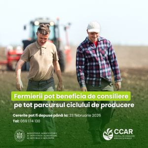 Screenshot 2026-02-11 103752