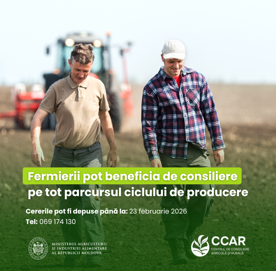 Screenshot 2026-02-11 103752