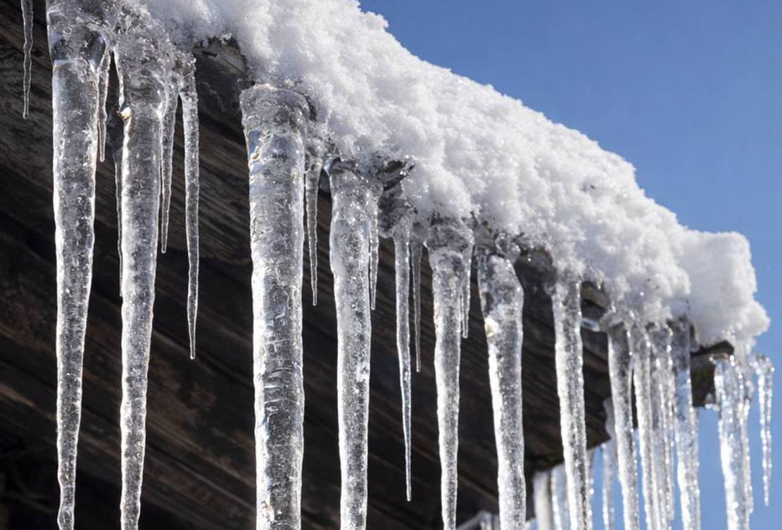 Screenshot 2026-02-11 130802