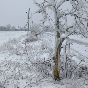 Screenshot 2026-02-19 101646