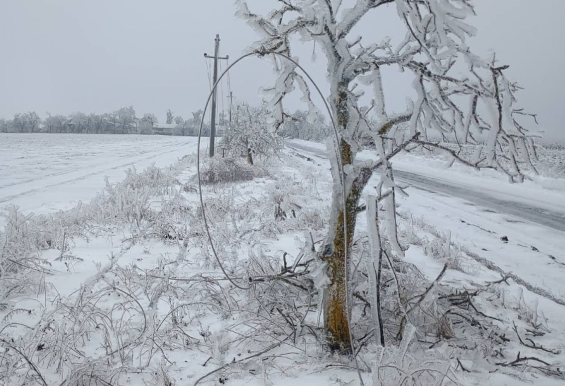 Screenshot 2026-02-19 101646