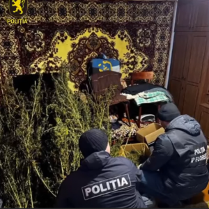 Screenshot 2026-02-19 152711