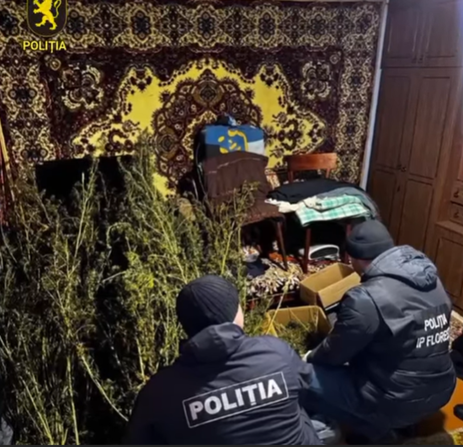 Screenshot 2026-02-19 152711