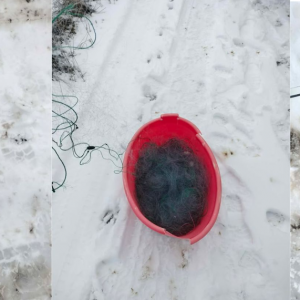 Screenshot 2026-02-23 132948