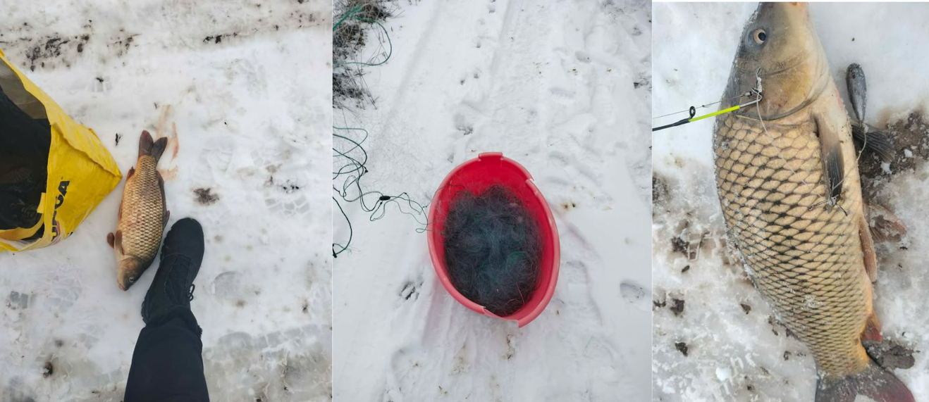 Screenshot 2026-02-23 132948