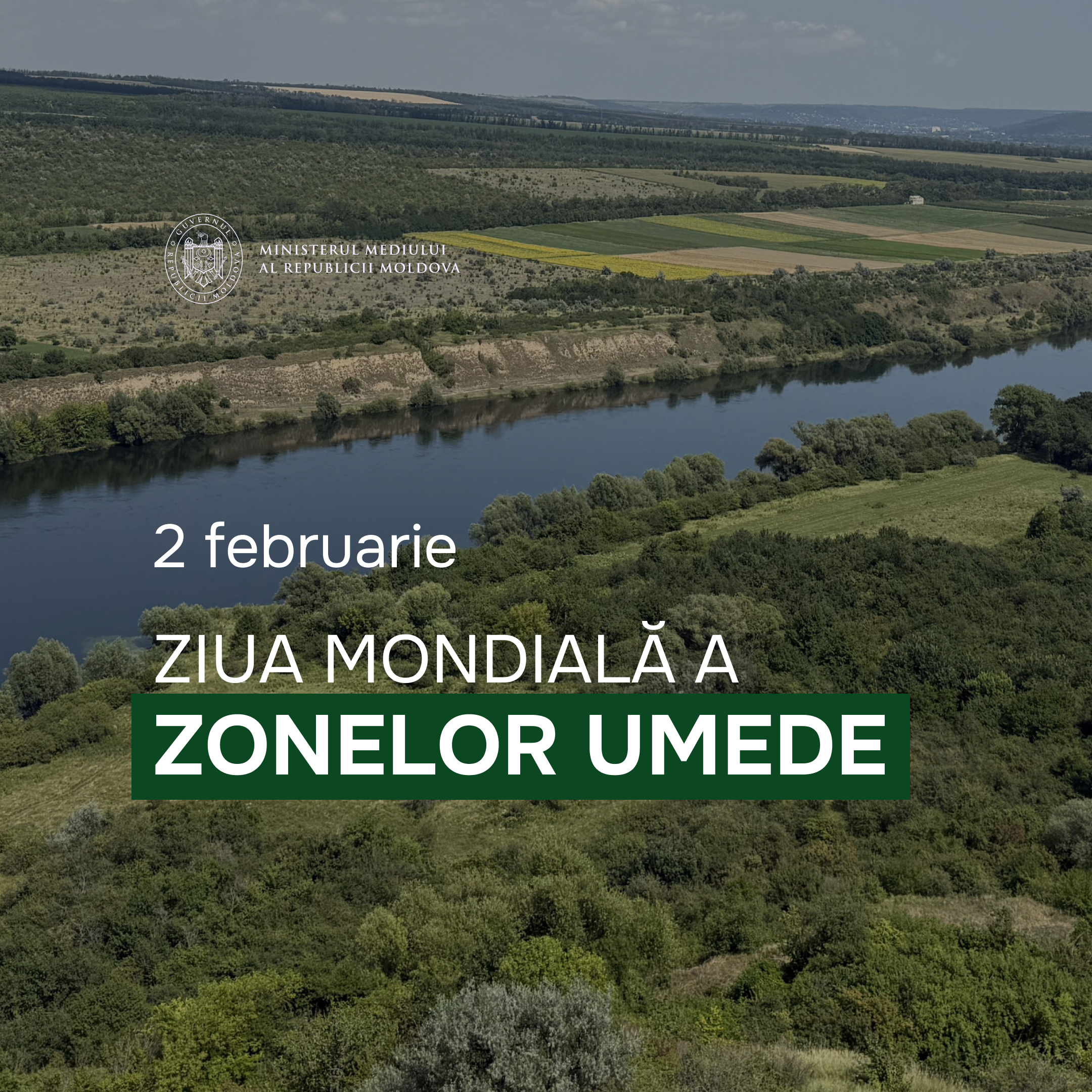 Zonele Umede (1)