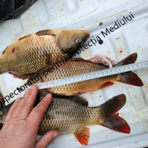 645722963_1221026170202054_6040194022130957225_n