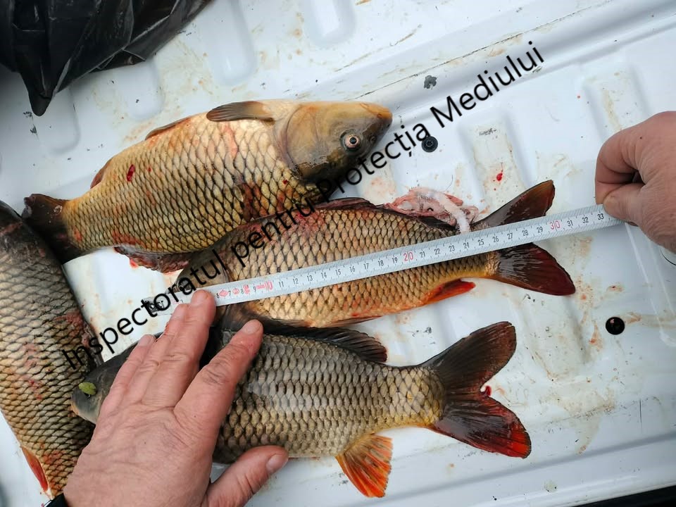 645722963_1221026170202054_6040194022130957225_n