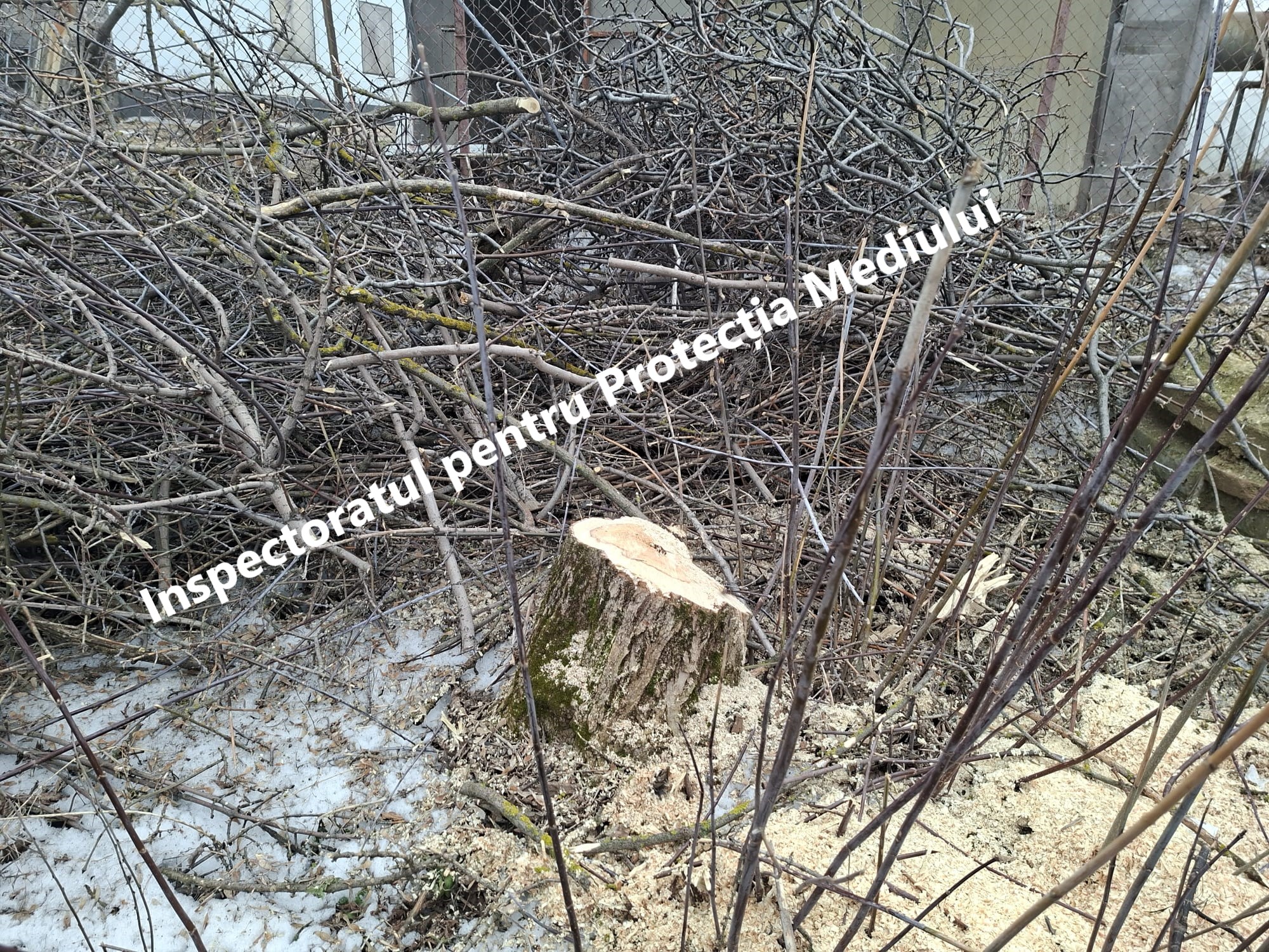 645980699_1221751276796210_7357234789049813561_n