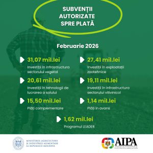 645980770_1372233368266726_8495668944208366099_n