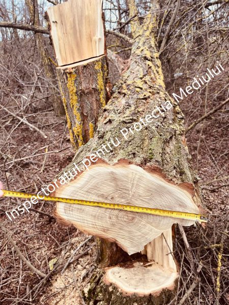 646205496_1222527160051955_4684314886510199142_n