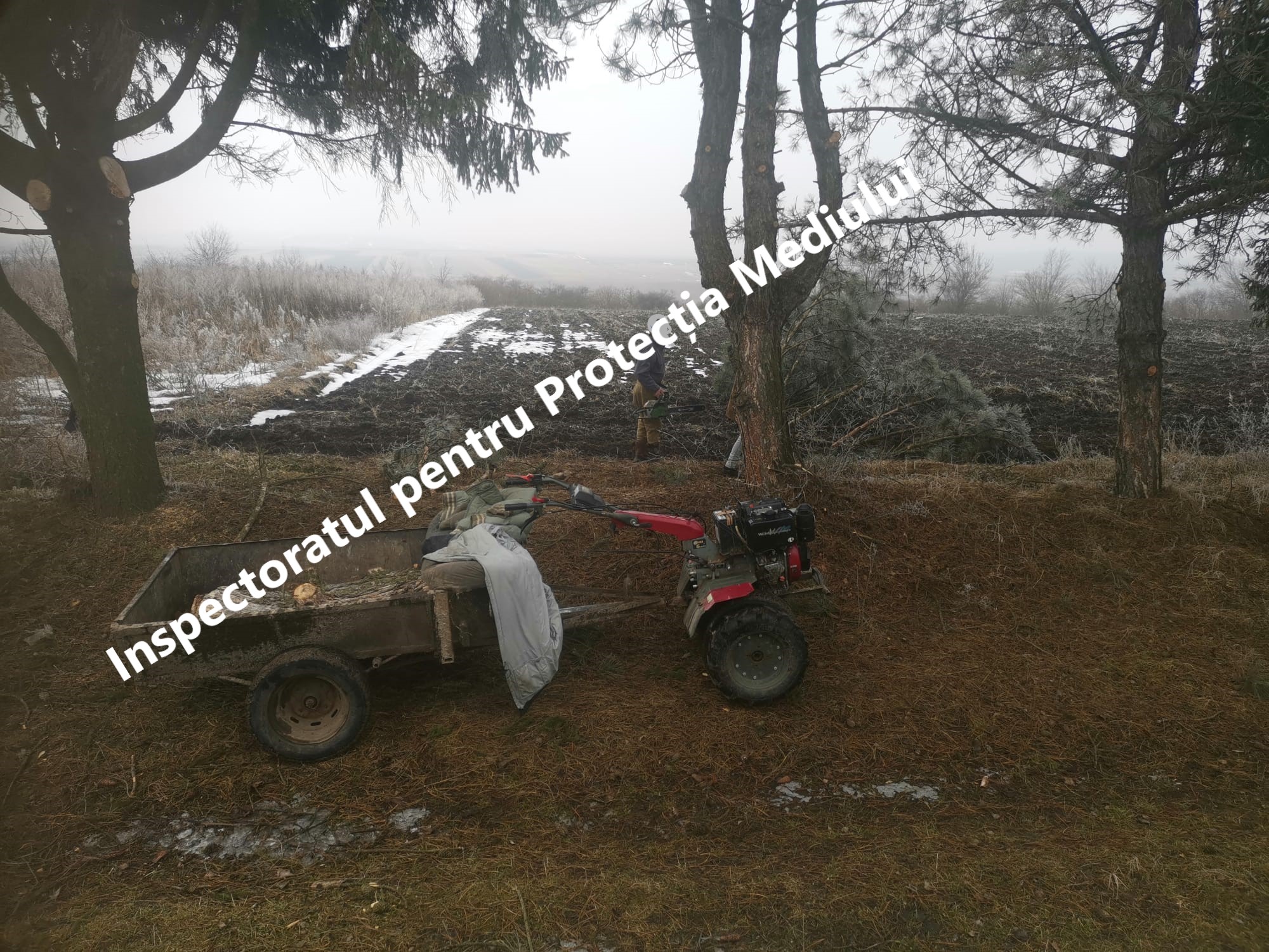 646238647_1221895363448468_7448247890752602095_n