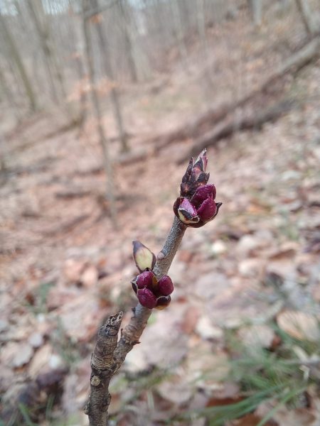 648115799_122331163160002057_3657617833923702670_n