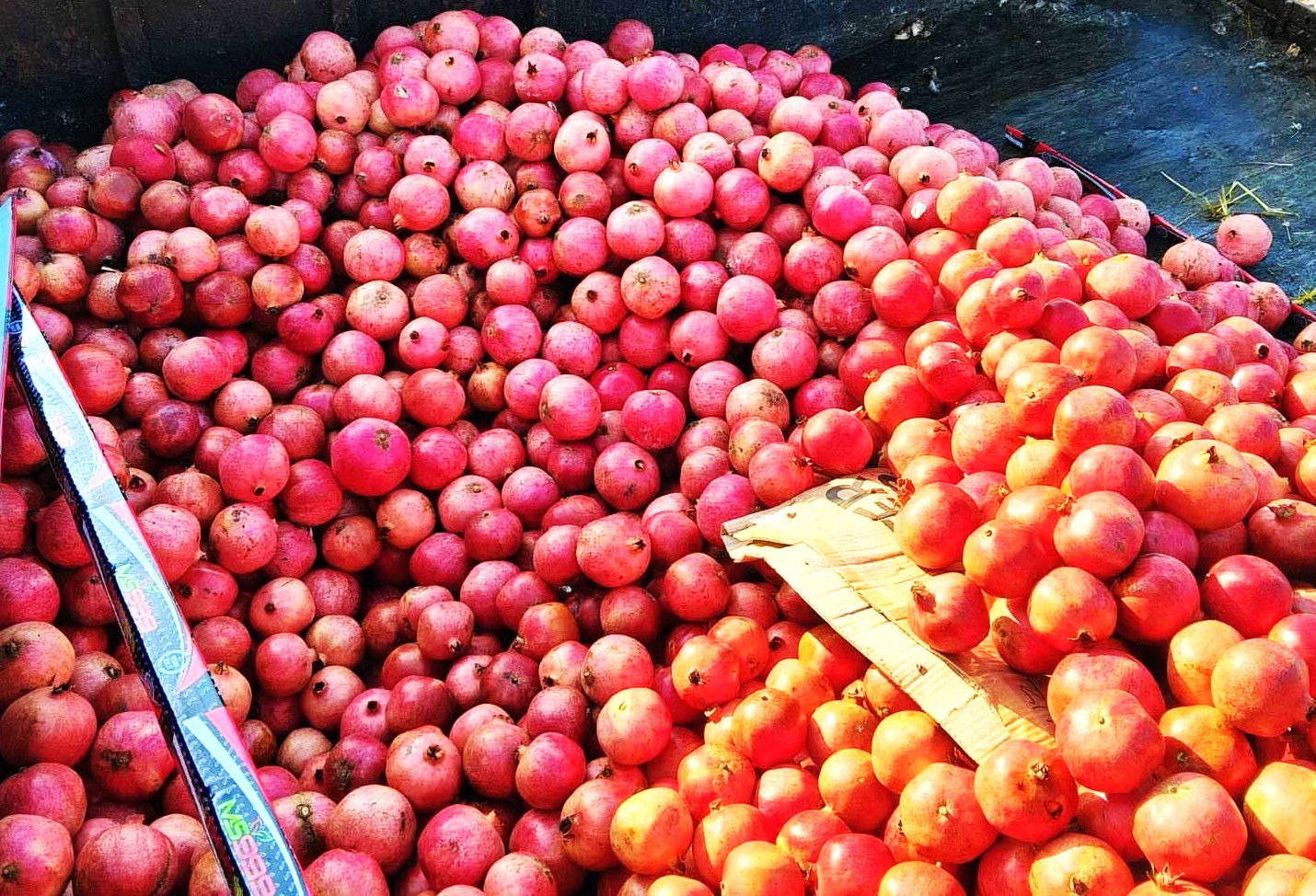 648177794_1220396240269077_8491447578270463142_n