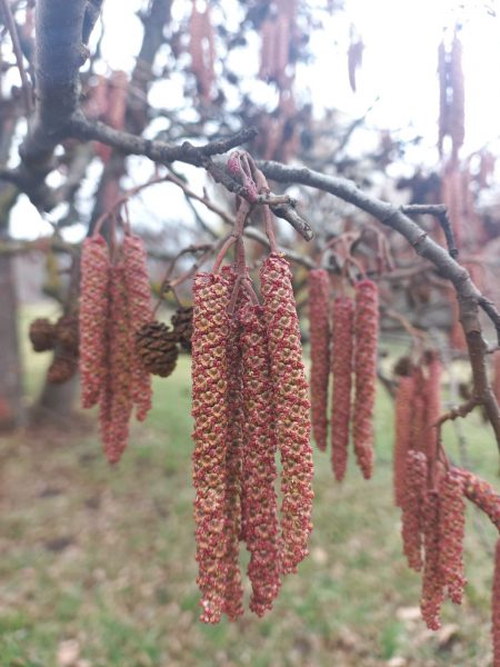 648229685_122331163184002057_4478869738779520528_n