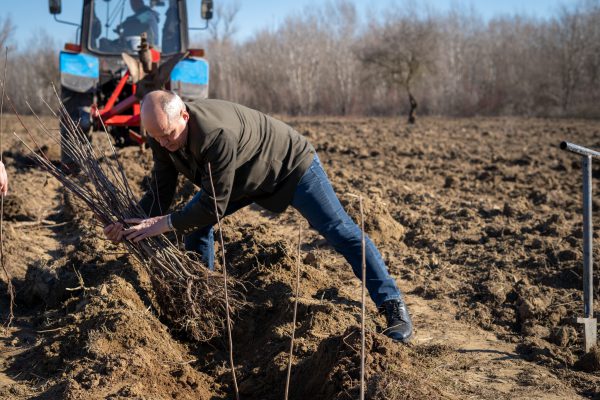 648398796_1308298548024288_4382034705630893611_n