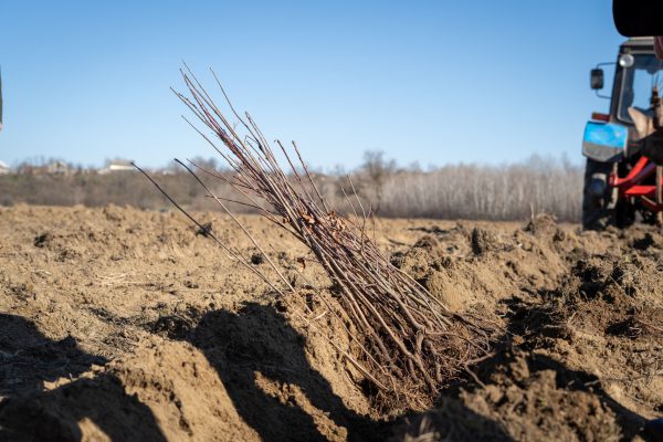 649664110_1308297418024401_843666439019236392_n