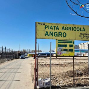 649739407_1817400242802914_3855099815735542739_n