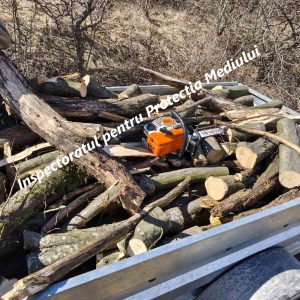 649868038_1226761989628472_5262202933312867637_n