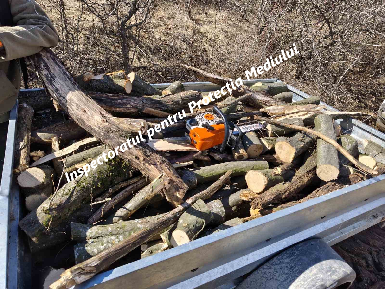 649868038_1226761989628472_5262202933312867637_n