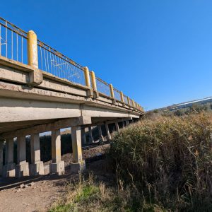 649872711_1252262737092725_3196087942660256429_n