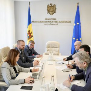 651006492_1379423754214354_4067367196304228505_n