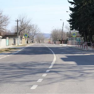 651304823_1254709520181380_6286176882137220461_n